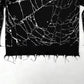 SPIDER WEB DISTRESSED JUMPER i